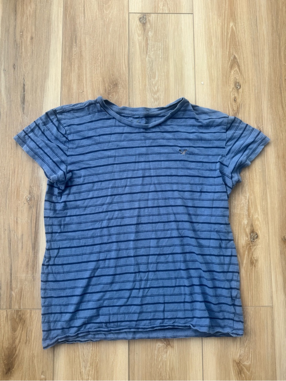 Blue Striped AEO Tee